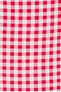 view 4 of 4 Maree Mini Dress in Red Gingham