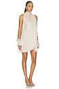 view 2 of 3 Tilly Mini Dress in Champagne