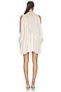 view 4 of 3 Tilly Mini Dress in Champagne