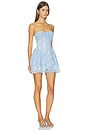 view 2 of 4 Dara Strapless Mini Dress in Blue Plaid
