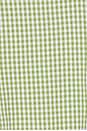 view 4 of 4 VESTIDO KALPANA in Green Gingham
