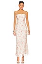view 1 of 3 Gabriela Maxi Dress in Blush Floral