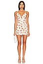 view 1 of 3 Fia Lace Cami Dress in Cream Floral