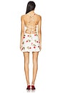 view 3 of 4 Charli Mini Dress in Rose Multi
