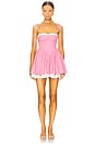 view 1 of 4 Anastasia Mini Dress in Pink Gingham