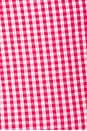 view 4 of 4 Anastasia Mini Dress in Pink Gingham
