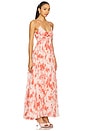view 2 of 3 Darcie Maxi Dress in Pink Floral