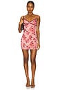 view 1 of 3 Shaina Mini Dress in Pink Rose Multi
