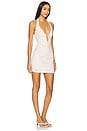 view 2 of 4 Carlita Mini Dress in Nude