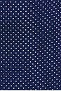 view 4 of 4 Avery Mini Dress in Navy Polka Dot