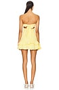view 3 of 4 Julian Mini Dress in Yellow Gingham