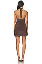 view 3 of 3 Carla Mini Dress in Brown