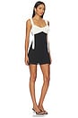 view 3 of 4 Monica Mini Dress in Black & White