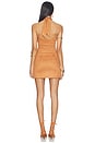view 3 of 3 Lureilla Halter Mini Dress in Brown