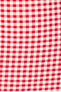 view 4 of 4 VESTIDO MAREA in Red Gingham