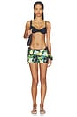 view 5 of 6 Roisin Micro Short in Black Lemon