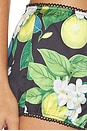 view 6 of 6 Roisin Micro Short in Black Lemon