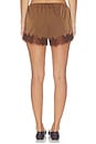 view 5 of 6 Lile Short in Brown
