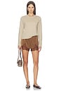 view 6 of 6 Lile Short in Brown