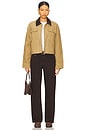 view 4 of 4 Laura Jacket in Beige