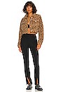 view 4 of 4 Amina Cropped Jacket in Leopard