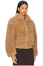 view 2 of 4 Indira Teddy Jacket in Camel