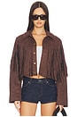 view 1 of 4 CHAQUETA BAYLOR in Dark Brown