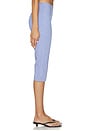 view 4 of 7 Drea Capri Pant in Blue Gingham