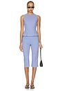 view 6 of 7 Drea Capri Pant in Blue Gingham
