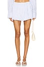 view 1 of 5 Carmin Mini Skirt in Blue Stripe