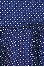 view 5 of 5 Annara Halter Top in Blue & White Dot