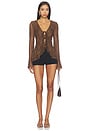 view 5 of 4 Alisia Top in Brown Lace