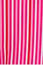 view 5 of 5 Monica Bikini Top in Red & Pink Stripe