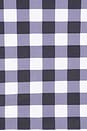 view 4 of 4 BAÑADOR BELLIE in Black & White Gingham