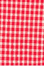 view 5 of 5 Briony Bikini Bottom in Red Gingham