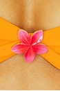 view 6 of 6 Abilene Bandeau Bikini Top in Orange