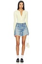 view 5 of 6 Graterford Long Shorts in Blue