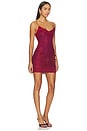view 4 of 5 Anemone Mini Dress in Sangre
