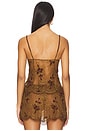 view 3 of 5 Gurana Camisole in Brown