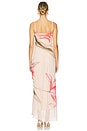 view 3 of 3 Avina Dress in Nude With Rose Print