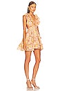 view 2 of 3 Botanic Mini Dress in Vintage Light Bloom