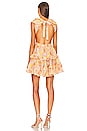 view 3 of 3 Botanic Mini Dress in Vintage Light Bloom
