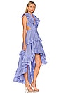 view 2 of 3 Botanic Dress in Iris Blue