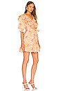 view 2 of 3 Maggie Dress in Vintage Bloom Light