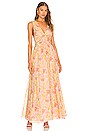 view 1 of 3 Miriam Maxi Dress in Vintage Bloom Light