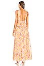 view 3 of 3 Miriam Maxi Dress in Vintage Bloom Light