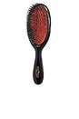 view 1 of 1 Junior Bristle & Nylon Hairbrush in Dark Ruby