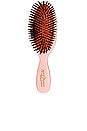 view 1 of 2 Pocket All Boar Bristle Hair Brush in Pink