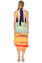 view 4 of 4 VESTIDO TALIA  in Multi