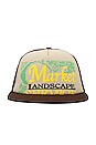 view 1 of 2 Landscape Service Trucker Hat in Beige & Brown